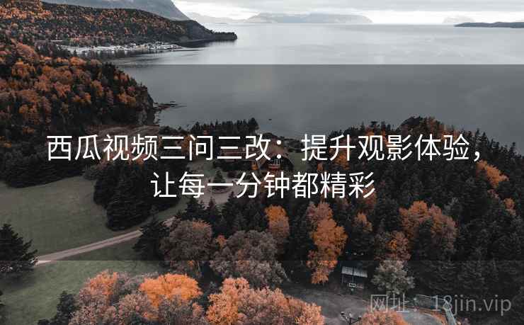 西瓜视频三问三改:提升观影体验,让每一分钟都精彩